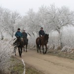 Zimowe wyprawy