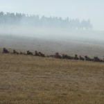 W oczekiwaniu na nieprzyjaciela