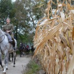 Zaduma w kukurydzy